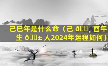 己巳年是什么命（己 🌸 酉年生 🐱 人2024年运程如何）